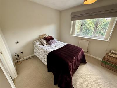 Picture 12